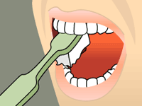Toothbrush cleaning the outer and chewing surfaces of the teeth