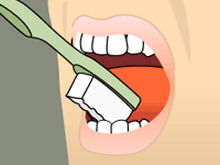Tip of a toothbrush cleaning the inner surface of the front teeth